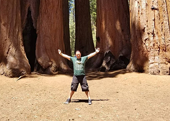Sequoia National Park - Excursii USA